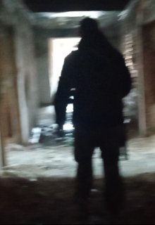 В поисках паранормального (Brossman)