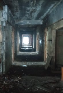 В туман (Brossman)