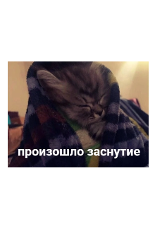Если Тёма не отвечает 20 минут (Евгений Солнцев)