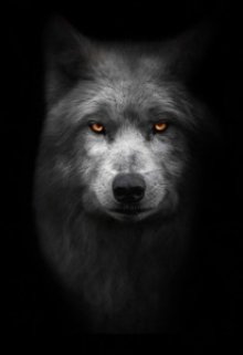 Зачем (Zakharov)