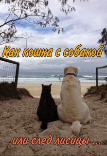 Как кошка с собакой или след лисицы… (Катерина Азарапина)