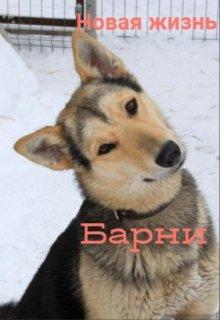 Новая жизнь Барни (Аниса Уразова)