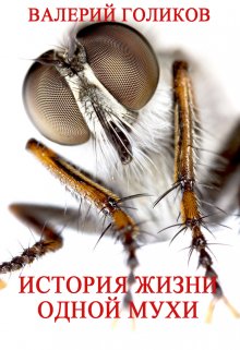 История жизни одной мухи (Валерий Голиков)