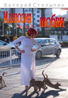 Иллюзия любви (Валерий Столыпин)
