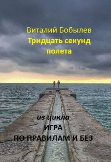 Тридцать секунд полета (Виталий Бобылев)