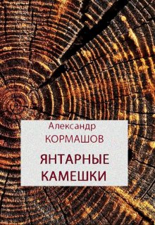 Янтарные камешки (Александр Кормашов)