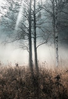 в туман (Brossman)