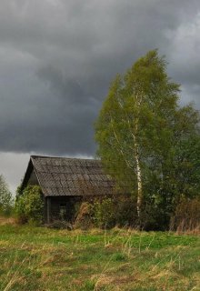 Случай в деревне (Максим Дефенсер)