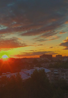 Курьер (Алиса Меллер)