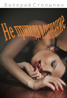 Не приходя в сознание (Валерий Столыпин)