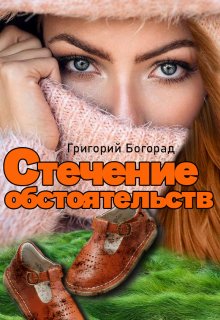 Стечение обстоятельств (Григорий Богорад)