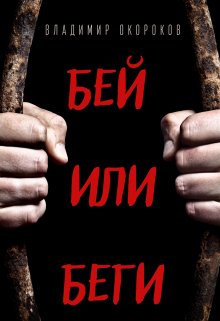 Бей или беги (Владимир Окороков)