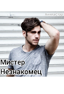 Мистер Незнакомец (Амила Стар)