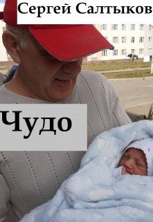 Чудо (Сергей Салтыков)