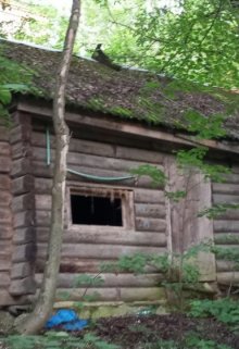 Дом с запахом смерти (Brossman)