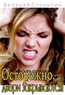 Осторожно, двери закрываются! (Валерий Столыпин)