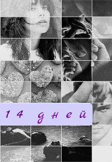 14 дней (Элиса Фокс)