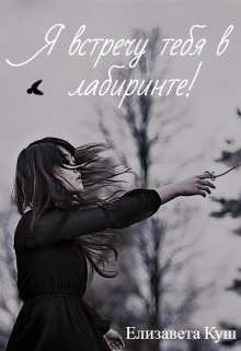 Я встречу тебя в лабиринте! (Елизавета Куш)