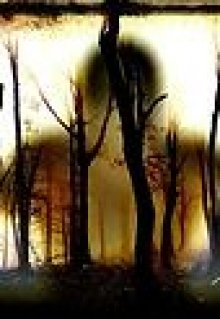 Абсолютно странная, и не совсем правдивая история. (Денисио)