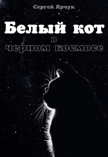 Белый кот в чёрном космосе (Сергей Ярчук)