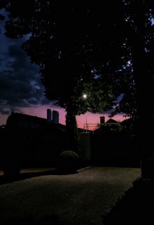 Три кошки на тонкой вишне (короткий рассказ) (Александр Е. Зиненко)