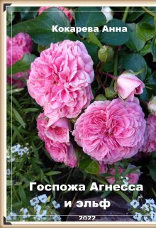 Госпожа Агнесса и эльф (Анна Кокарева)