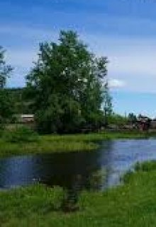 Оленька (ЛАД)