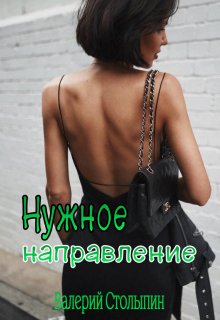 Нужное направление (Валерий Столыпин)