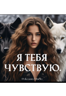 Я тебя чувствую (Роксана Шаб)