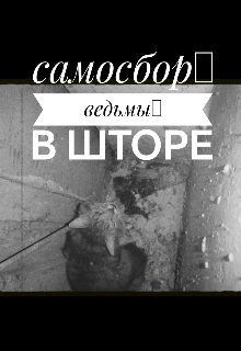 Ведьмы в шторе (Alfiya Shaynurova)