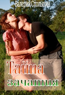 Тайна зачатия (Валерий Столыпин)