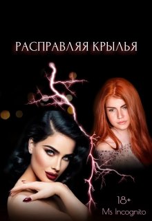 Расправляя Крылья (Ms Incognito)