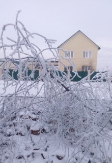 Клюквенное счастье (Анисья Зудова)
