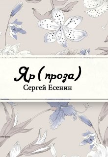 Яр (Редактор)