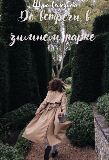 До встречи в зимнем парке (Ли Та)