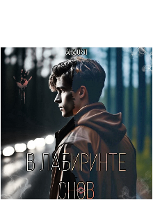 В лабиринте снов (Ана Оул)