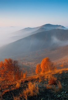 Почему я не стал ювелиром (Шимун Врочек)