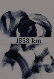 1558 km (Ник-Нилс)