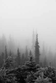 Между мнением о высшем и твоём (Анна Атталь-Бушуева)