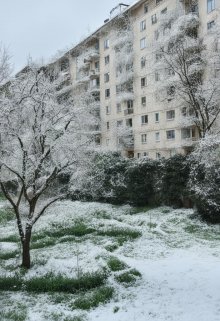 Весенний снег (Алиса Атарова)