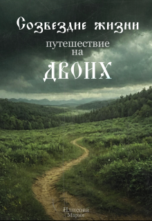 Созвездие жизни: путешествие на двоих. (Linmery)