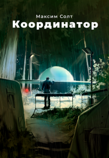 Координатор (Максим Солт)