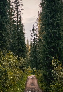 Весеннее солнцестояние (Принцлимон)