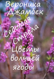 Седьмая стрела (Вероника Джамбек)