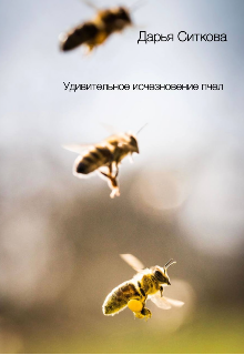 Удивительное исчезновение пчел (Дарья Ситкова)