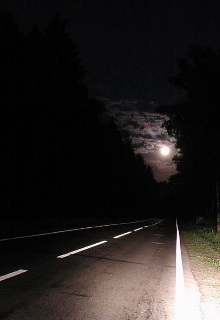 Дорога (irenmarch)