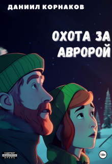Охота за авророй (Даниил Корнаков)
