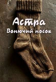 Вонючий носок (Астра)