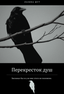 Перекресток душ (Полина Шут)