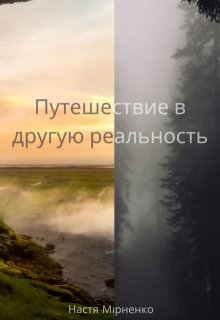 Путешествие в другую реальность (Настя Мирненко)